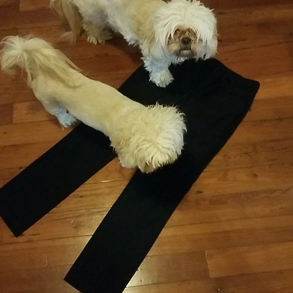 Bebe pants NWT black 0P - Picture 1 of 8